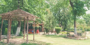 Societies and Clubs 47 13