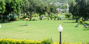 Societies and Clubs 35 24