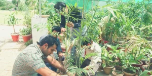 Societies and Clubs 53 6